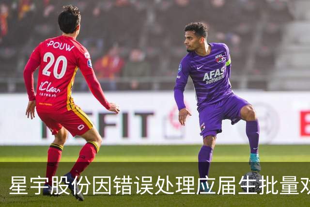 星宇股份因错误处理应届生批量劝退事件对高管进行处罚