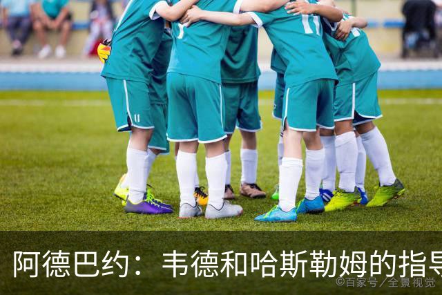 阿德巴约：韦德和哈斯勒姆的指导让我受益匪浅